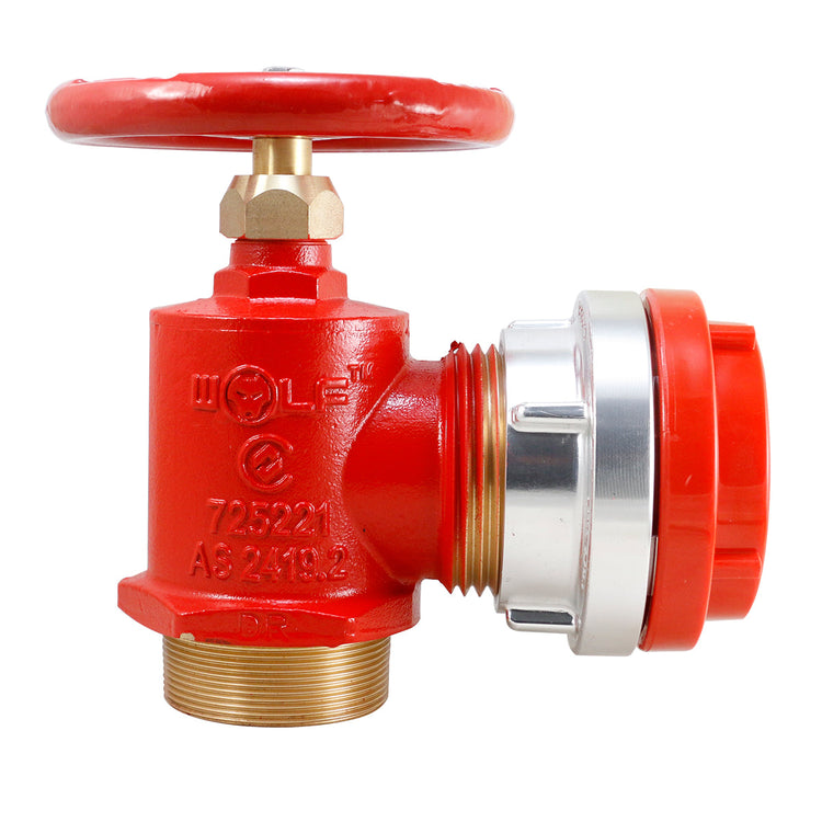 Fire Hydrant Wolf Landing Valve with Storz & Cap